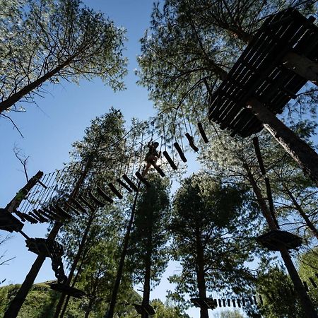 Gooderson Leisure Mountain View Cottages Self Catering And Timeshare Resort Дракенсберг-Гарден Экстерьер фото
